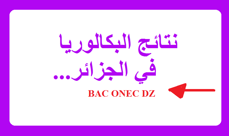 رابط الاستعلام عن نتائج البكالوريا في الجزائر 2024 عبر الديوان الوطني