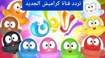 IMG ٢٠٢٢٠٨٢٢ ٠٤٠٦٣١
