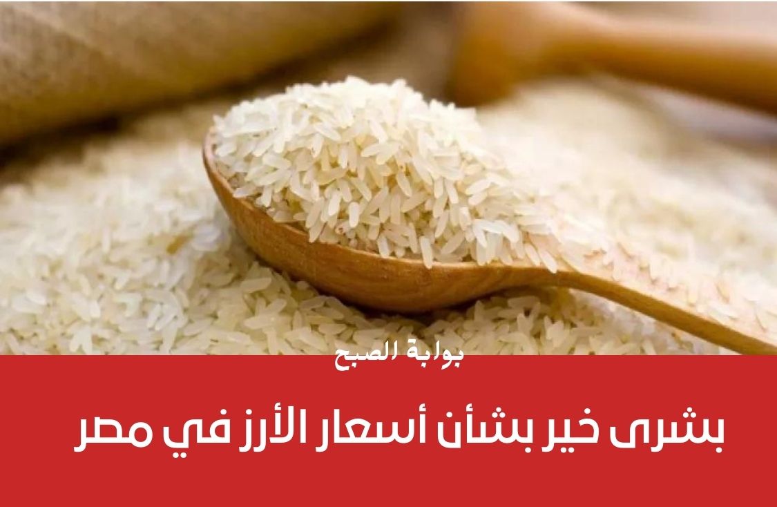 شعبة الأرز تزف خبر مُفرح للمواطنين بشأن انخفاض سعر الأرز 1