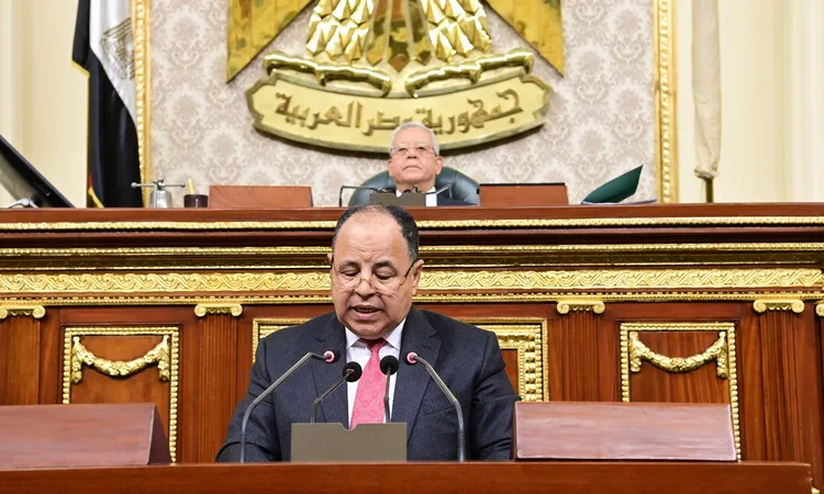 وزير المالية في جلسة النواب 1683622263 0