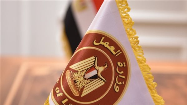 وزارة العمل تُعلن عن توافر عدد هائل من الوظائف خالية للعديد من التخصصات 2 وزارة العمل تُعلن عن توافر عدد هائل من الوظائف خالية للعديد من التخصصات