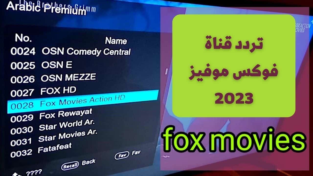 بإشارة قوية.. تردد قناة فوكس موفيز الجديد 2023 على النايل سات لعرض أجدد الأفلام 2 بإشارة قوية.. تردد قناة فوكس موفيز الجديد 2023 على النايل سات لعرض أجدد الأفلام