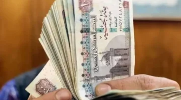تصريح عاجل للتأمينات بشأن زيادة المعاشات الجديدة