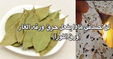 معجزة سوف تحدث في منزلك!!.. حرق ورق الغار في المنزل سيفعل المعجزات التي لا تخطر على بالك من قبل