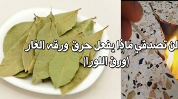حرق ورق الغار في المنزل سيفعل المعجزات