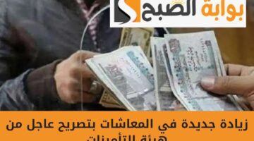 زيادة جديدة في المعاشات بتصريح عاجل من هيئة التأمينات