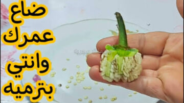 هتندمي ندم عمرك إنك كنتي بترميها.. عقب الفلفل معجزة سحرية سيصنع لكي المعجزات حقيقي كنز في البيت