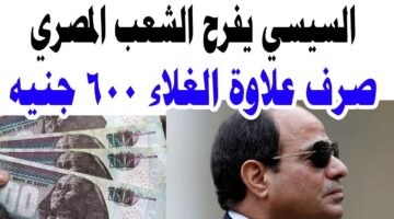 قرار رئاسي يُفرح الشعب كله بشأن زيادة علاوة غلاء المعيشة لهذه القيمة