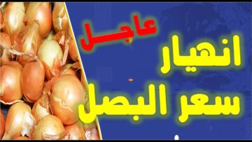 وزارة الزراعة تكشف خبر سار وعاجل بشأن أسعار البصل في السوق