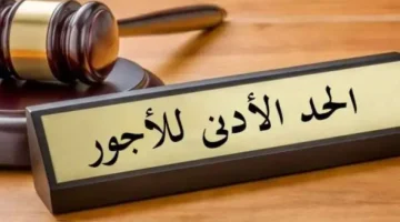 الحد الأدنى للأجور 1668589177 0