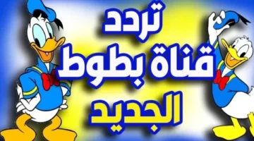 تردد قناة بطوط كيدز الجديد 2024 عبر النايل سات