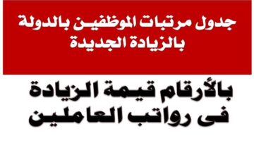 “الزيادة على الي فات والي جي زغرطوا”.. زيادة مرتبات الموظفين العاملين بالدولة بقيمة 3500 جنيه بأثر رجعي