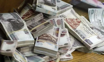 30.000 جنيه لكل سيدة منحة.. وزارة التضامن توفر منحة مالية للسيدات وفرصة لا تعوض للجميع