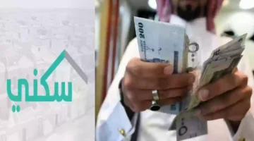 م
