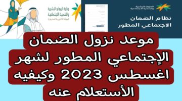 موعد نزول معاش الضمان المطور