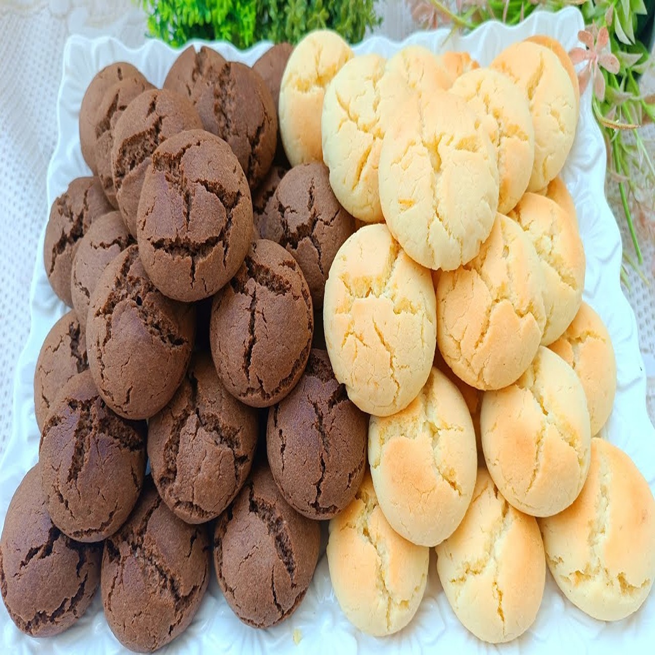 الغريبة البهلة المغربية.. أسرع وأسهل وارخص حلوى موفرة واقتصادية ومذاق رائع وكمية وفيرة جداً 5 الغريبة البهلة المغربية.. أسرع وأسهل وارخص حلوى موفرة واقتصادية ومذاق رائع وكمية وفيرة جداً