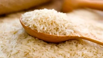 بكام صار؟.. أسعار طن أرز الشعير الأربعاء 13 ديسمبر 2023 بالأسواق المحلية