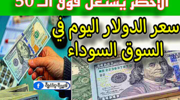 1DE3C4F0 16BD 4AC8 8E89 FB9AA5AD6D4D