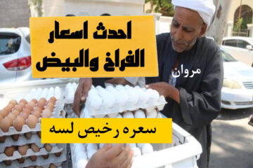 “بكام النهاردة”.. سعر كرتونة البيض اليوم للمستهلك في المحلات والاسواق + بكام اسعار الفراخ والبيض دلوقتي