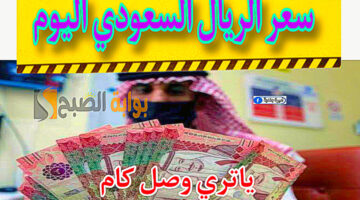 327EE0E1 A81A 412B A5DD 9E83A56FBC24
