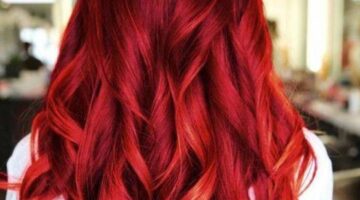 338535Image1 1180x677 d