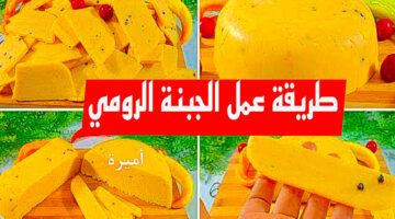 360D81D6 D7AF 4CD9 9BB7 173FE0DF0C4D