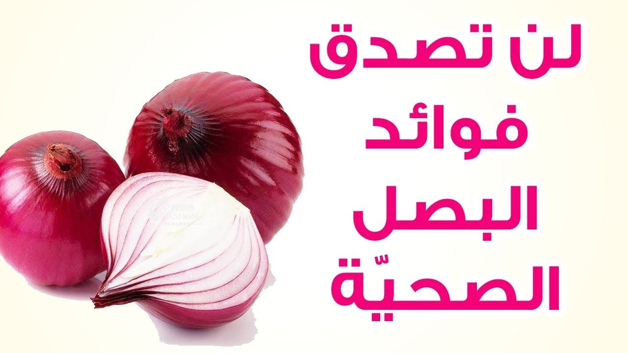 «يقوي المناعة والتنفس».. هذا ما يحدث لجسم الإنسان عند تناول البصل يوميًا 6 «يقوي المناعة والتنفس».. هذا ما يحدث لجسم الإنسان عند تناول البصل يوميًا