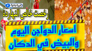 7BB371E7 7727 4AB5 A6CB 1B17C7E06DD9