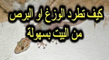 A7C9DBDA 9A2F 48AD 946A F966B38214EB
