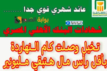 سيبك من الجمعية.. أقوي شهادات البنك الاهلي الجديدة بعد اجتماع البنك المركزي الاخير بفائدة خيالية “مش هتصدق وصلت كام”