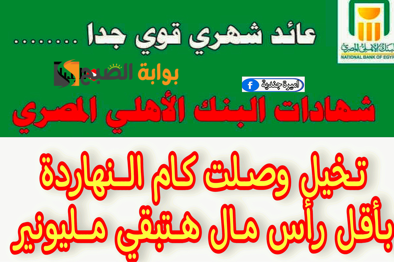سيبك من الجمعية.. أقوي شهادات البنك الاهلي الجديدة بعد اجتماع البنك المركزي الاخير بفائدة خيالية "مش هتصدق وصلت كام" 5 سيبك من الجمعية.. أقوي شهادات البنك الاهلي الجديدة بعد اجتماع البنك المركزي الاخير بفائدة خيالية “مش هتصدق وصلت كام”