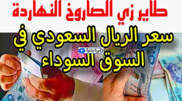 DBF6AD5B 6EE1 4CAA 91DA BBD423C2F444