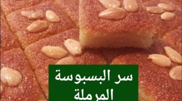 IMG ٢٠٢٢٠٣٢٧ ١٥٤٤٢٦