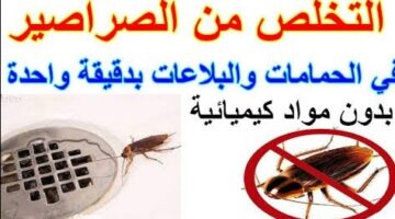 IMG ٢٠٢٢٠٤١٥ ٢٢٥٣٣٦