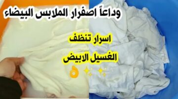 IMG ٢٠٢٢٠٥٢١ ٠٢٤٧٣٤ 1