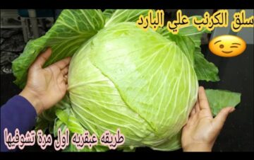 فكرة عبقرية لسلق وتقطيع الكرنب بدون ماء وبكل سهولة هتعملى أكثر من وحدة في وقت قصير