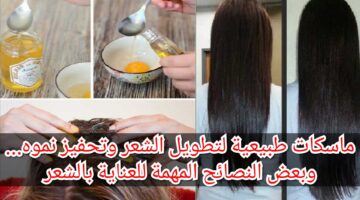 IMG ٢٠٢٣١١٠٧ ١٠٢٤١٦