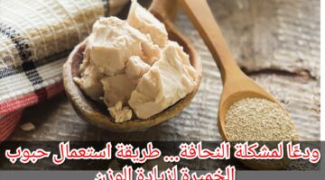 IMG ٢٠٢٣١١٠٩ ٠٦١٩٤٠
