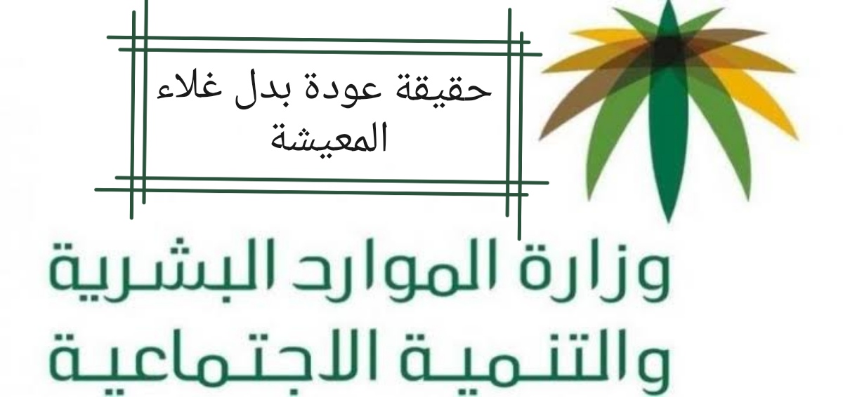 الموارد البشرية توضح حقيقة عودة بدل غلاء المعيشة 1445والشروط المطلوبة للحصول عليها 5 الموارد البشرية توضح حقيقة عودة بدل غلاء المعيشة 1445والشروط المطلوبة للحصول عليها