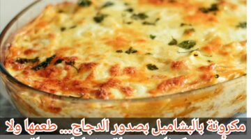 IMG ٢٠٢٣١١١٣ ٠٠٠٠٣١