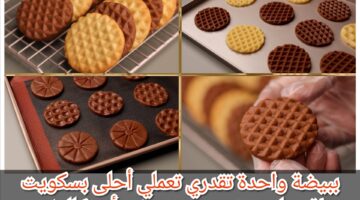 IMG ٢٠٢٣١١١٤ ٢١٠٩٣٣