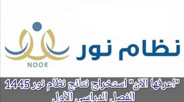 IMG ٢٠٢٣١١١٥ ١٧١٥٤٢