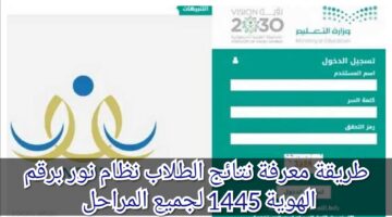 IMG ٢٠٢٣١١١٥ ١٧٢٤٠٢