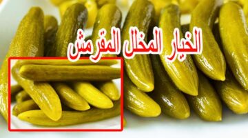 IMG ٢٠٢٣١١١٩ ٢١٢٧٤٠