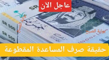IMG ٢٠٢٣١١٢٠ ٠٨١٨٣٠ 1