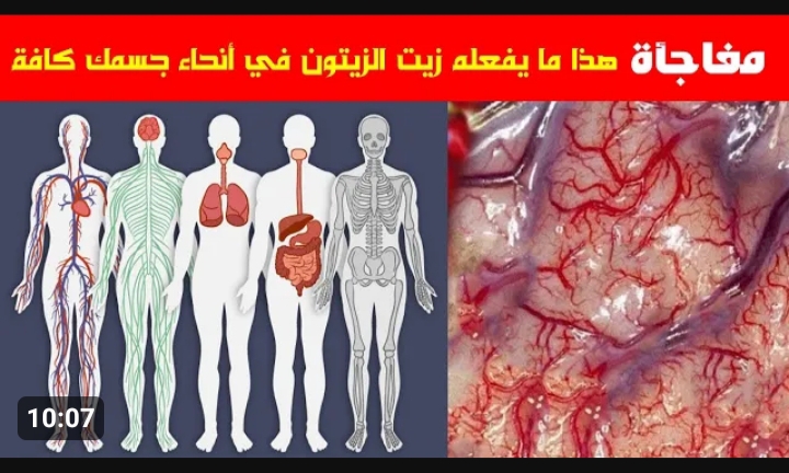«جوزك مش هيبص برا تانى » فوائد القرنفل وزيت الزيتون .. حطي كل ليلة على هذه الأماكن وشوفي بعينك النتيجة 5 «جوزك مش هيبص برا تانى » فوائد القرنفل وزيت الزيتون .. حطي كل ليلة على هذه الأماكن وشوفي بعينك النتيجة