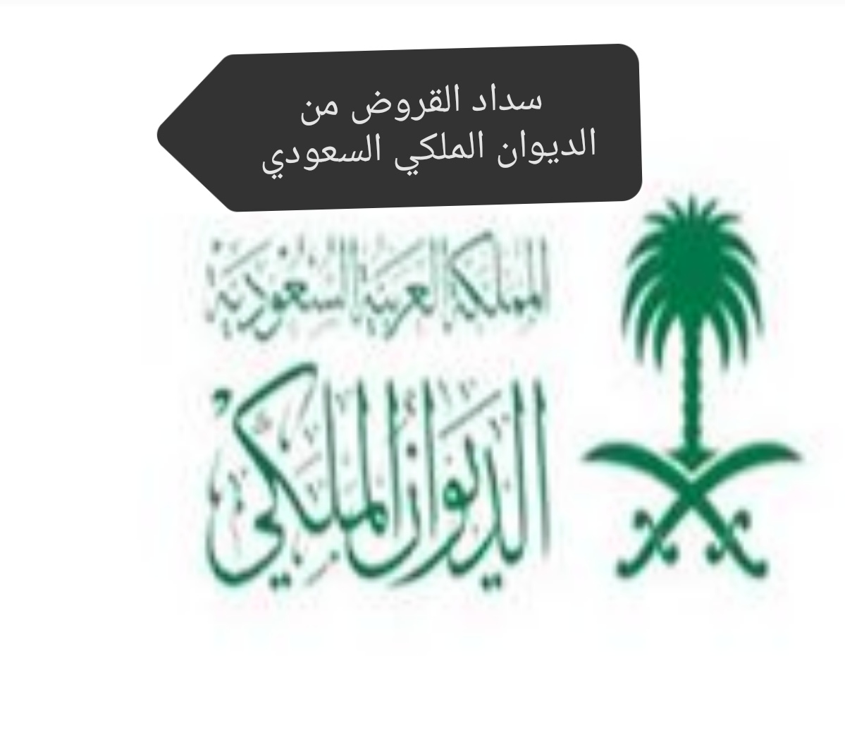 في حالة التعثر في السداد تعرف على طريقة الإعفاء من سداد القروض من الديوان الملكي السعودي 1446 5 في حالة التعثر في السداد تعرف على طريقة الإعفاء من سداد القروض من الديوان الملكي السعودي 1446