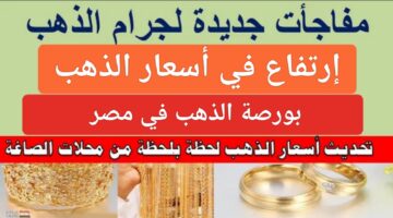 IMG ٢٠٢٣١١٢٥ ١٢١٣٠٦
