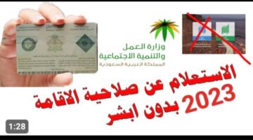 IMG ٢٠٢٣١١٢٧ ١٥٣٣٣٣ 1