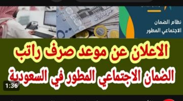 IMG ٢٠٢٣١١٢٨ ٢٠١٢٠٣
